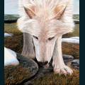 wolves-89.jpg