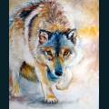 wolves-9.jpg