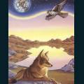 wolves-92.jpg