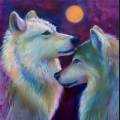 wolves-97.jpg
