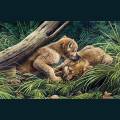 wolves-99.jpg