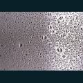 wbt-062.jpg