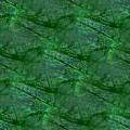 grass-skin.jpg