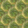 green-discland.jpg