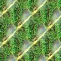 reptile-eggfarm.jpg