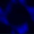 blu-bk-029.jpg