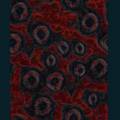 101-backs-191.jpg