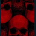 44-0484red-back5.jpg