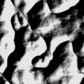 texture109.jpg