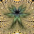 Fractal-18.jpg (134471 bytes)