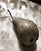 pear1t.jpg