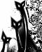 blkcats1t.jpg
