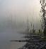 foggy2t.jpg