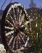 wheel1t.jpg