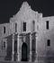 alamo1t.jpg