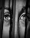 eyes1t.jpg