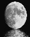 moon1t.jpg