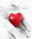 heart1t.jpg