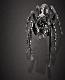 spider1t.jpg