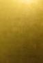 gold1t.jpg