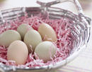 eggs2L.jpg