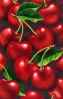 cherries1t.jpg