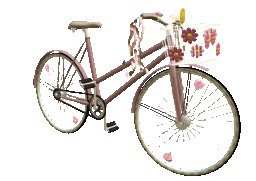 bike1t.gif