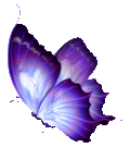 bfly2t.gif
