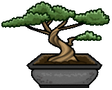 bonsai1t.gif