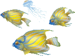 fish2t.gif