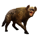 hyena1t.gif