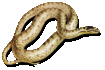 snake1t.gif