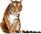tiger1t.gif