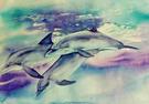 dolphins1L.jpg