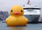 duckie1L.jpg