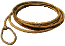 lasso2t.gif