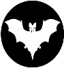 bat1.jpg (21449 bytes)